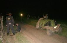 Doi bărbaţi din Pomârla trimiși la închisoare pentru contrabandă cu ţigări cu căruţa