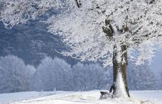 ANM a publicat o estimare a temperaturilor în intervalul 11-25 decembrie. Vezi cum va fi vremea de sărbători!