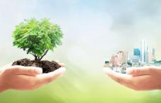 Comunicat de presă privind finalizarea proiectului „INVESTIȚII ÎN EFICIENȚA ENERGETICĂ LA S.C. RAM S.R.L.” – Cod MySmis 160639