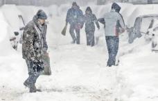 Cod Galben de ninsoare la Botoşani