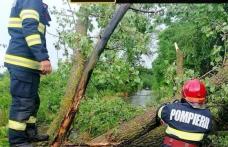 Cod galben de vânt în această dimineață pentru județul Botoșani