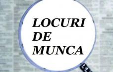 AJOFM Botoșani: Peste 400 de locuri de muncă neocupate. Vezi în ce domenii!