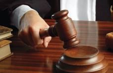 Doi bărbați trimiși în judecată după ce unul a ucis o pisică și celălalt a călcat cu mașina mai multe ovine