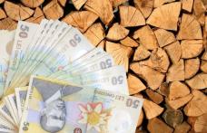 Guvernul României a aprobat menținerea ajutoarelor de încălzire pentru perioada rămasă din această iarnă