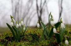 Prognoza meteo pentru următoarele patru săptămâni! Cum va fi vremea în luna martie