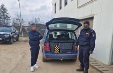 Captură impresionantă de țigări de contrabandă. Acestea urmau să fie comercializate la Dorohoi – FOTO