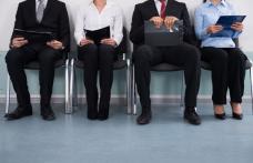 Creștere ușoară a ratei șomajului înregistrat în evidențele AJOFM Botoșani. Vezi distribuția șomerilor pe diferite niveluri de pregătire!