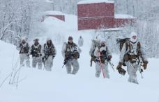 Aliații NATO vor desfășura un exercițiu cu 20.000 de militari din 13 țări. Exercițiul de apărare colectivă va avea loc în mediul nordic