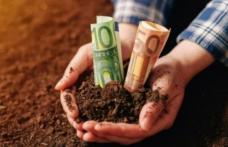 Peste 200.000 de fermieri vor primii câte 100 de euro pe hectar