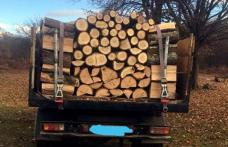Un nou transport ilegal de material lemnos și o nouă confiscare, la Mihăileni
