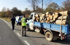 Lemne confiscate și amendă de 1.000 lei