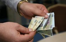 În județul Botoșani se câștigă mai mult decât se produce