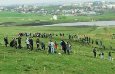 Acțiune de plantare la  Dorohoi! Voluntarii vor planta 20.000 de puieți
