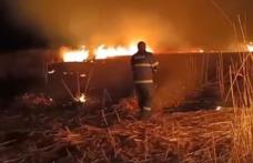 Incendiu de vegetație uscată și stufăriș la Havîrna. Pompierii au intervenit - FOTO