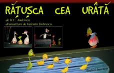 Răţuşca cea urâtă la Teatrul Vasilache Botoșani
