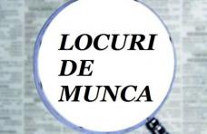 Peste 460 de locuri de muncă vacante la nivelul județului Botoșani în data de 8 aprilie 2024