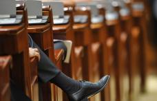 Vezi câţi politicieni vor avea de suferit din cauza recensământului. Scade numărul de parlamentari