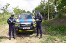 Sancțiuni de peste 24.000 de lei, pentru nerespectarea prevederilor legale privind câinii periculoși