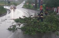 Copaci și cabluri electrice rupte de vânt în urma fenomenelor meteo din județ - FOTO