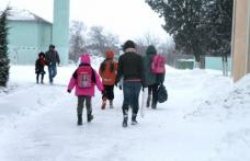 IŞJ Botoşani cere unităţilor de învăţământ să-şi reia cursurile