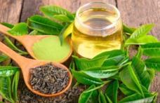 Ce riscuri prezintă consumul excesiv de ceai verde