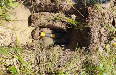 Explozie controlată în poligonul militar Copălău pentru distrugerea unor elemente de muniție