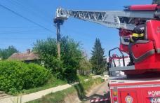 Pui de barză rămas captiv pe un stâlp din Corlăteni salvat de pompierii dorohoieni - FOTO