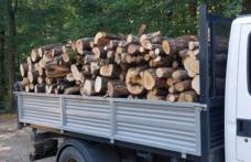 Tânăr din Darabani depistat în timp ce transporta material lemnos fără documente legale