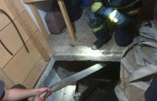 Un vițel de aproape 300 de kilograme salvat dintr-un beci adânc de doi metri