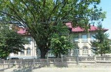 CONTED Dorohoi angajează femei de serviciu și operator calculator
