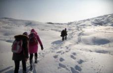 Începând de astăzi cursurile se reiau, în toate şcolile din judeţ