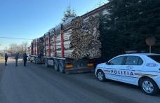 Amendă uriașă aplicată de polițiștii din Ștefănești