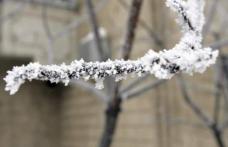 Meteo: Cum va fi vremea în weekend