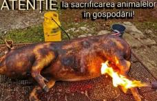 ISU Botoșani: Atenție la sacrificarea animalelor în gospodării!