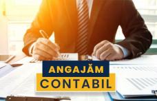 Primăria Dorohoi: Anunț organizare concurs recrutare