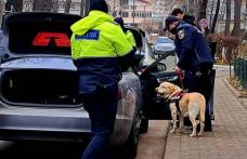 Acțiune a polițiștilor de siguranță școlară - 34 de elevi lipseau de la cursuri