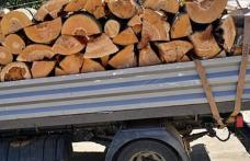 Peste trei metri cubi de material lemnos confiscat de polițiști la Darabani