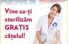 Peste 1000 de căţei cu şi fără stăpân sterilizaţi la Botoşani