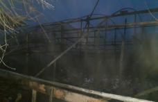 Incendiu la un solar din Săveni. Acesta și cinci tone de lemne au fost distruse de foc