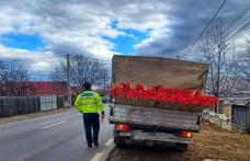 Peste 100 de sancțiuni aplicate de polițiști pentru delicte silvice
