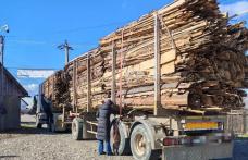 Peste 30 de metri cubi de material lemnos confiscat de polițiști