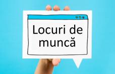 Peste 450 de locuri de muncă vacante la nivelul județului Botoșani