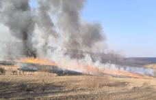 Doi bărbați amendați după ce au dat foc vegetației uscate de pe șesul iazului din Suharău
