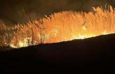 În ultimele ore, pompierii au intervenit pentru stingerea a cinci incendii de vegetație uscată