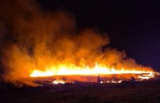 Șapte incendii de vegetație în ultimele 24 de ore. Pompierii au intervenit