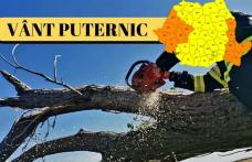Avertizare tip cod galben de instensificări ale vântului pentru județul Botoșani