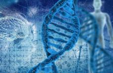 Olimpiada de biologie - Colecție de premii și două calificări la etapa națională pentru elevii de la Liceul „Regina Maria” Dorohoi