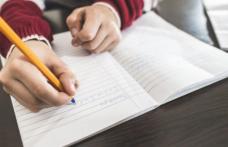 Colegiul Național „Grigore Ghica” Dorohoi – calificare la proba orală a Olimpiadei de Limba Engleză
