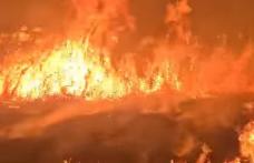 Pompierii au intervenit pentru stingerea a trei incendii de vegetație uscată, stuf și crengi uscate