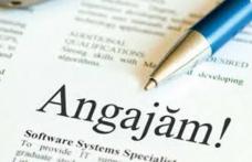 Vezi locurile de muncă vacante la nivelul județului Botoșani!